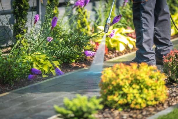 Best Animal Enclosure Cleaning  in Gretna, LA
